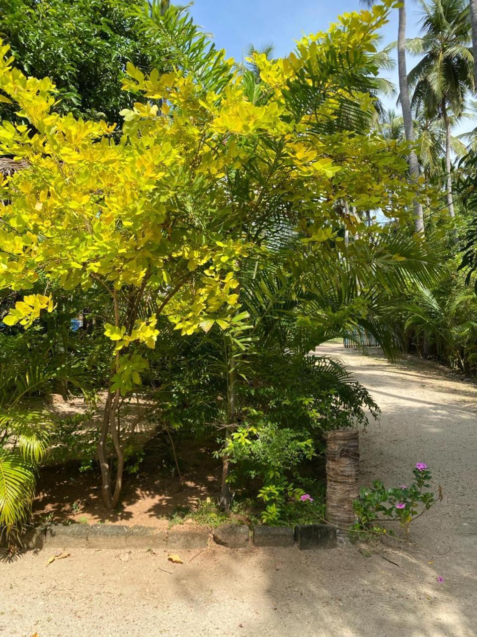 Elena Garden Resort And Restaurant Trincomalee Exterior photo